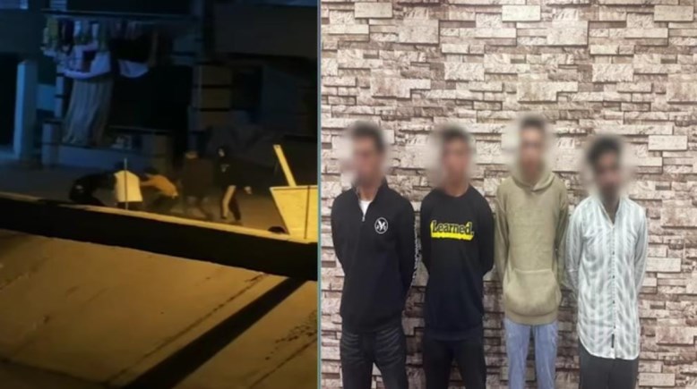 المتهمين  المتهمين