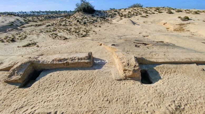 كشف أثري جديد كشف أثري جديد