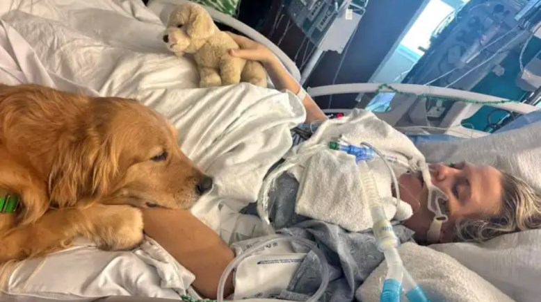 السيدة بريسيلا تيمونز  السيدة بريسيلا تيمونز