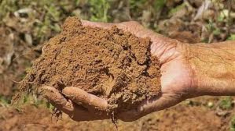 تفسير حلم أكل الطين في المنام