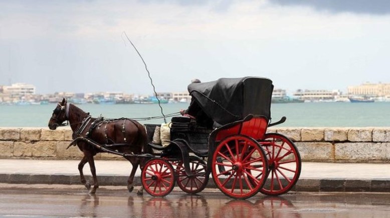 تفسير رؤية الحنطور في المنام