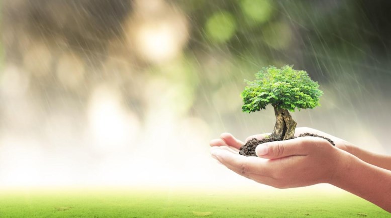 كتابة موضوع تعبير عن مبادرة اتحضر للأخضر 