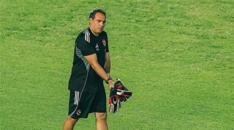 أمير عبد الحميد 