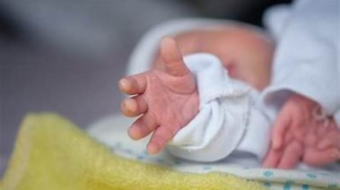 مولود - أرشيفية مولود - أرشيفية