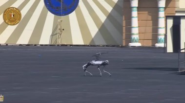 الكلب الروبوت
