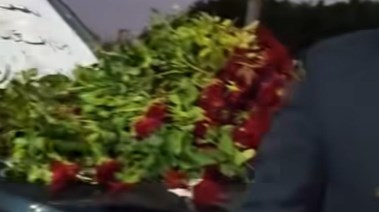 توزيع ورود
