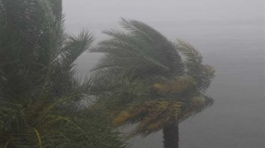 عاصفة - أرشيفية 