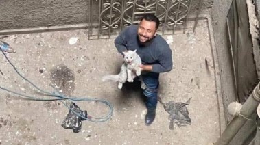 المهندس أحمد المقدم منقذ القطة المهندس أحمد المقدم منقذ القطة