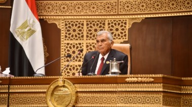 المستشار عصام الدين فريد رئيس مجلس الشيوخ