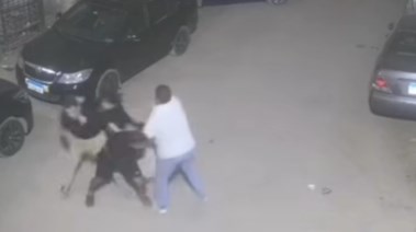 جانب من الواقعة 