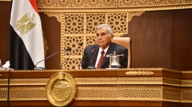 المستشار عصام الدين فريد