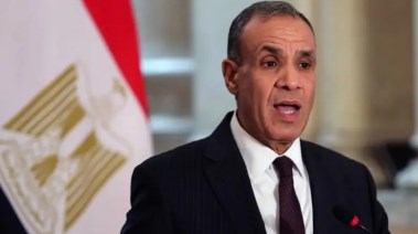 وزير الخارجية والهجرة بدر عبد العاطي