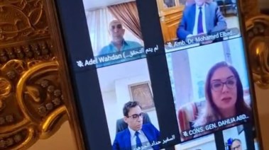 لقاء افتراضي مع أبناء الجالية المصرية في المانيا