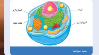 شرح درس خصائص وسمات الخلية 2025-2026