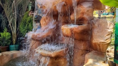 صورة للطبيعة