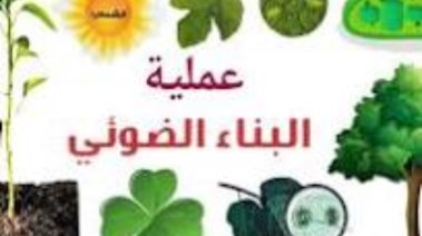 ما الذي ينتج عن عملية البناء الضوئي 