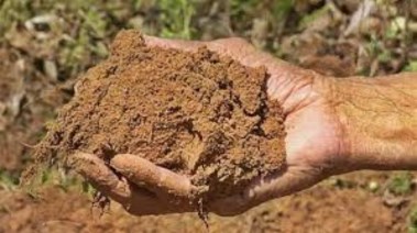 تفسير حلم أكل الطين في المنام تفسير حلم أكل الطين في المنام