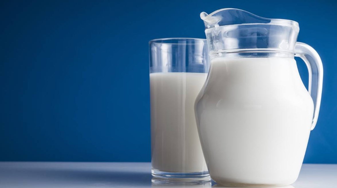 أسعار الألبان