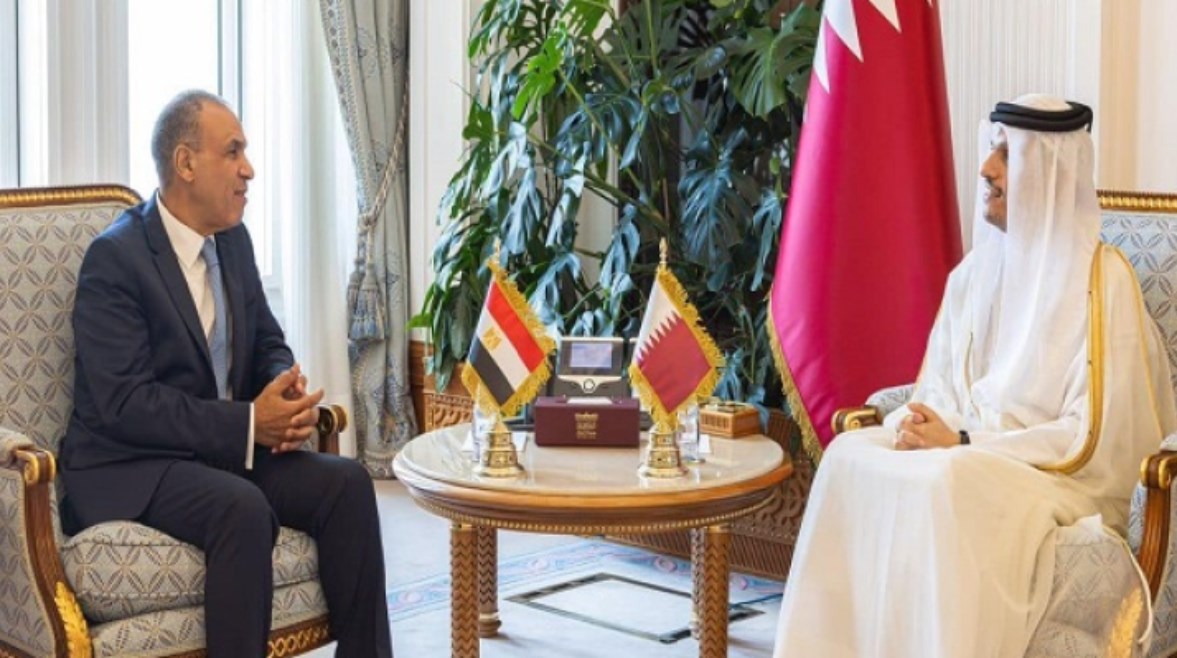 وزير الخارجية بدر عبدالعاطي ونظيره القطري وزير الخارجية بدر عبدالعاطي ونظيره القطري