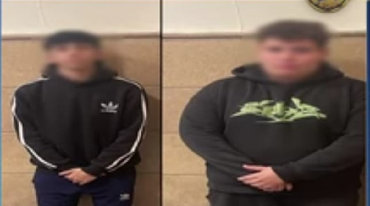 المتهمان  المتهمان