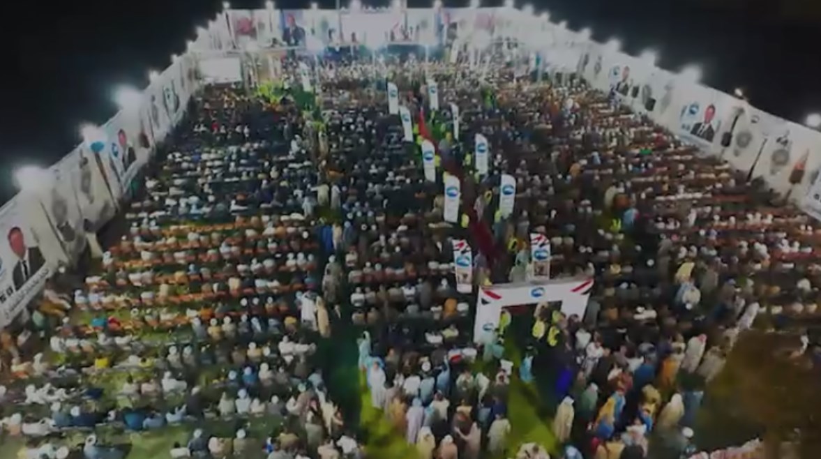 لقاءات حزب مستقبل وطن