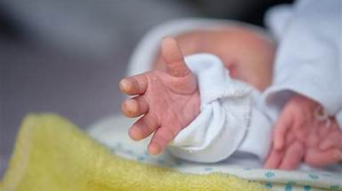 مولود - أرشيفية مولود - أرشيفية