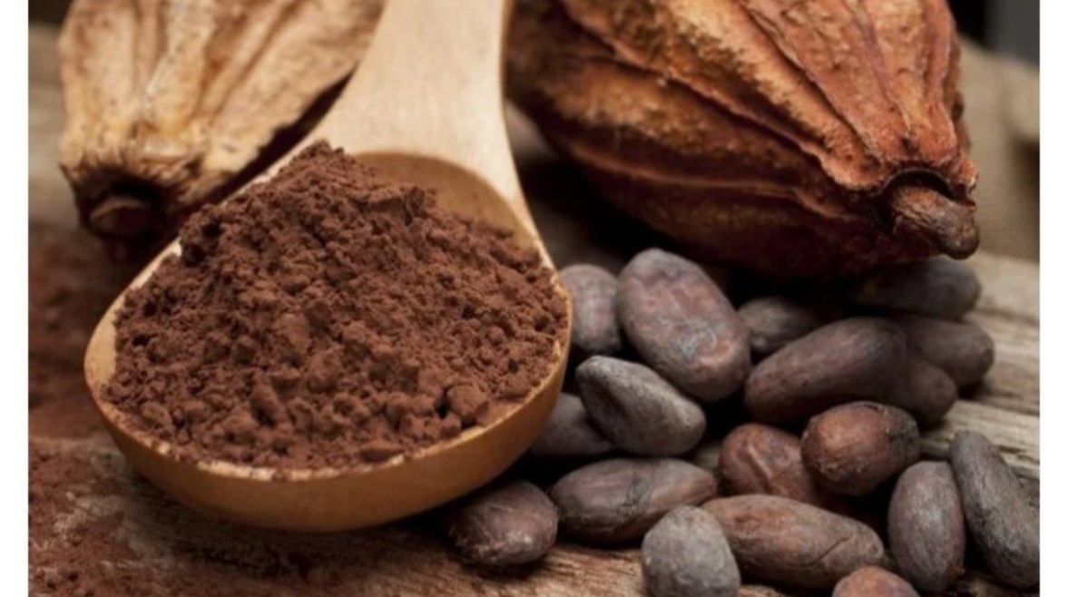 الكاكاو  الكاكاو