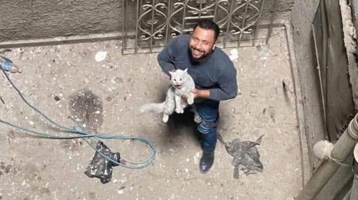 المهندس أحمد المقدم منقذ القطة المهندس أحمد المقدم منقذ القطة