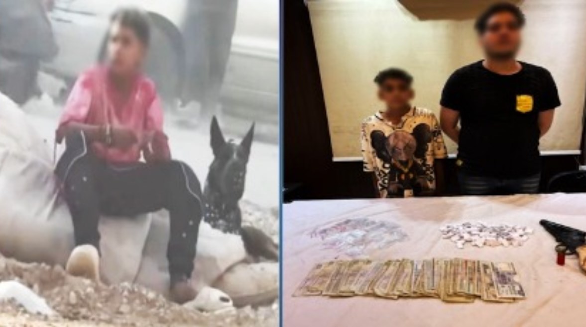 المتهم المتهم