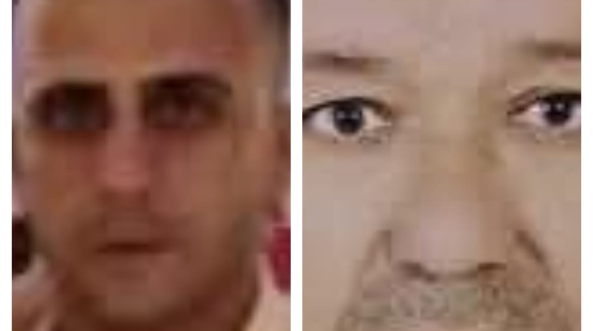 صورة المتوفيين  صورة المتوفيين