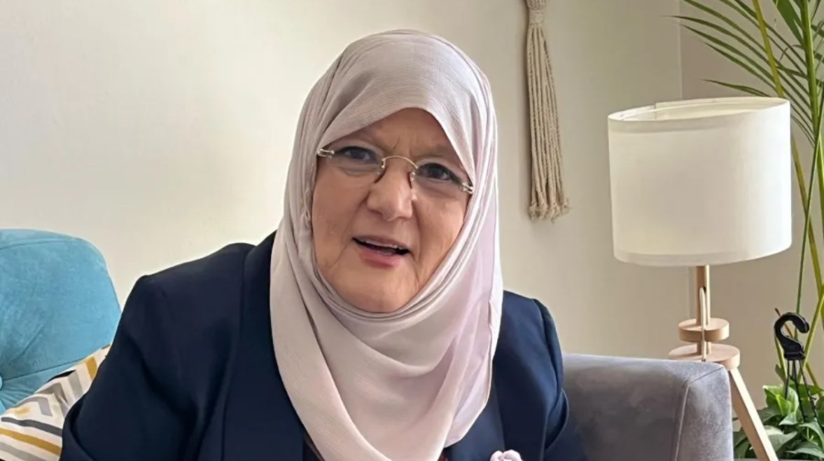 شمس البارودي شمس البارودي