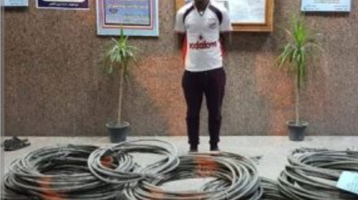 ارشيف ارشيف