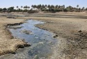 جفاف نهر دجلة بالعراق 
