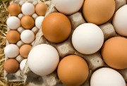 سعر كرتونة البيض الأبيض اليوم السبت 29 نوفمبر 2025