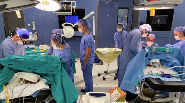 زراعة الاعضاء