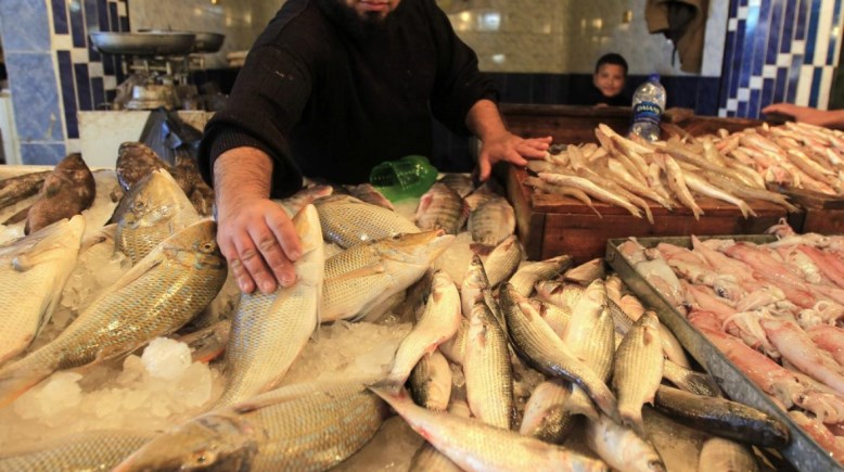 أسعار الأسماك في سوق العبور