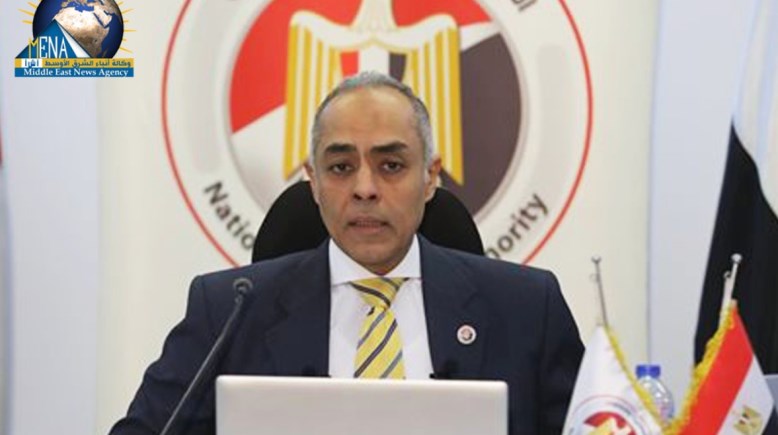 المستشار أحمد بنداري مدير الجهاز التنفيذي للهيئة الوطنية للانتخابات