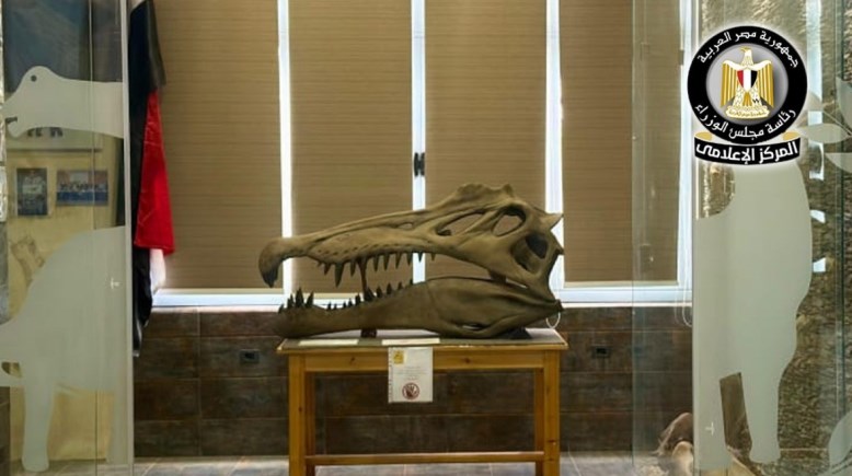 نوع جديد من التماسيح القديمة