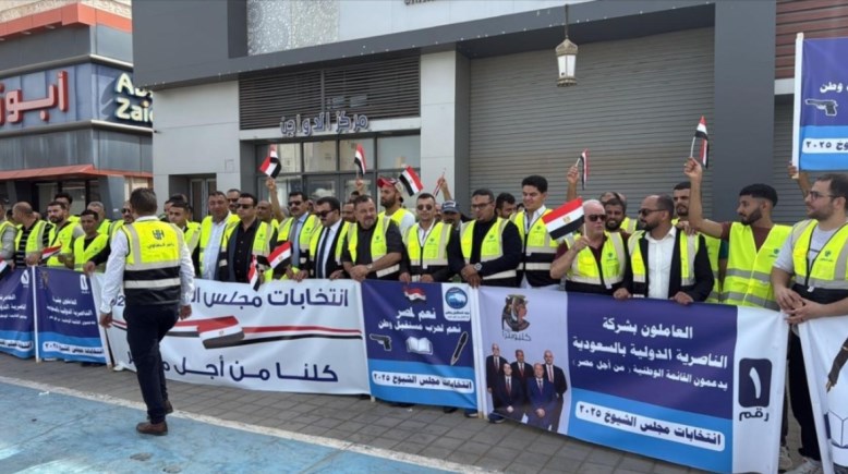 انتخابات مجلس النواب للمصريين بالخارج 2025