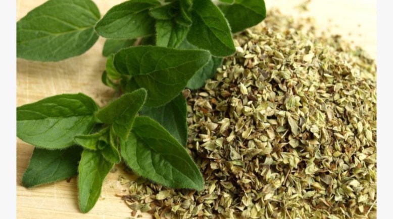 الزعتر والريحان 