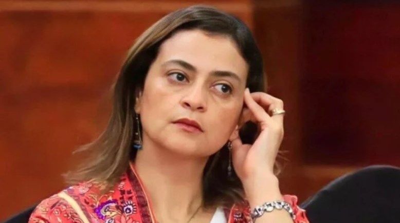 علا الشافعي 