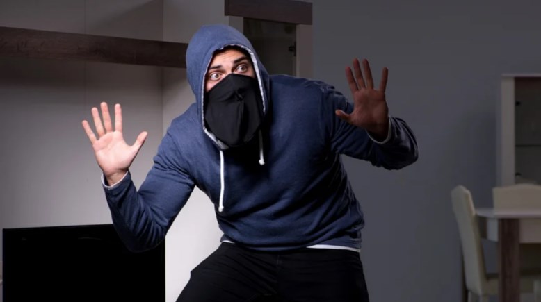 القبض على لص- تعبيرية