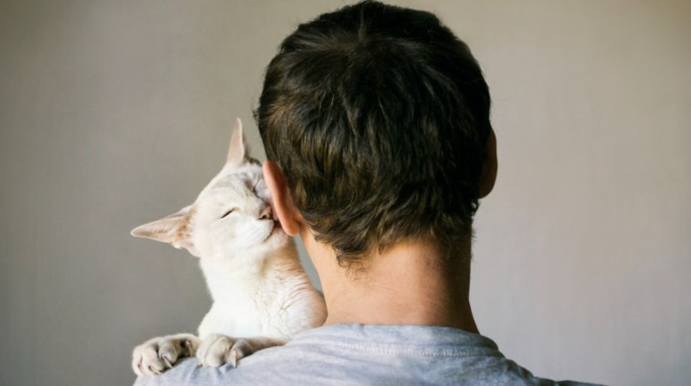 تربية القطط والإصابة بالفصام- تعبيرية