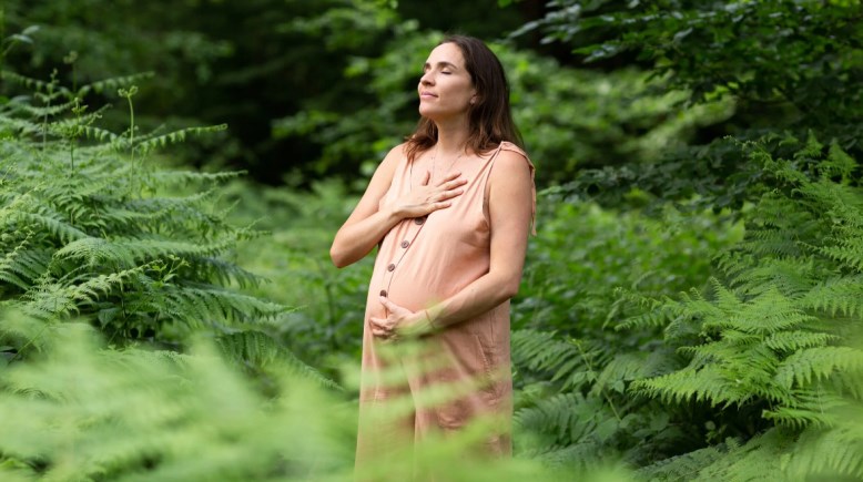 الحمل الوحشي- تعبيرية