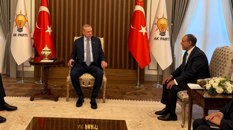  وزير الخارجية والهجرة بدرعبد العاطي، ورجب طيب أردوغان، رئيس جمهورية تركيا