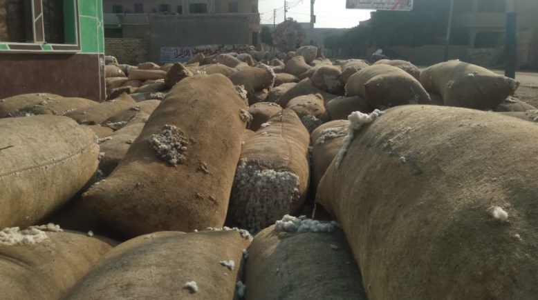 ضبط شونة ضخمة لتخزين القطن