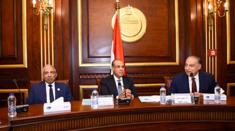  وزير الخارجية يلتقي مع لجنة العلاقات الخارجية والعربية والأفريقية بمجلس الشيوخ