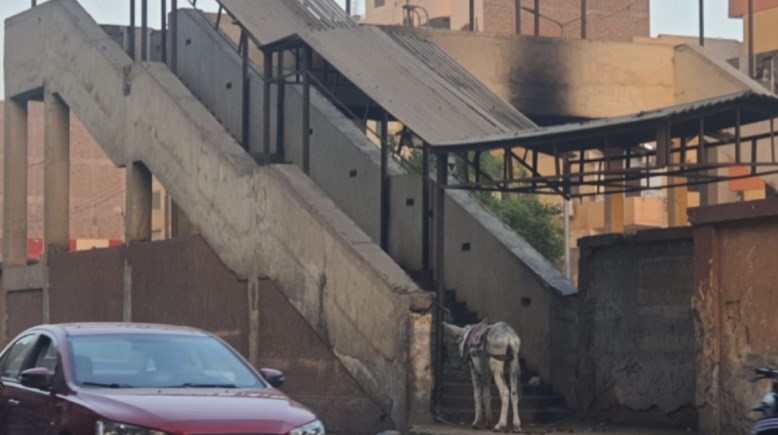 كوبري المشاة