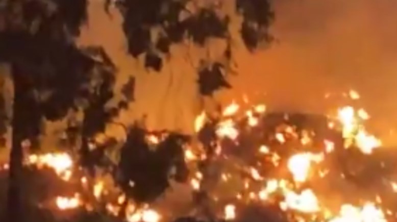 جانب من الحريق