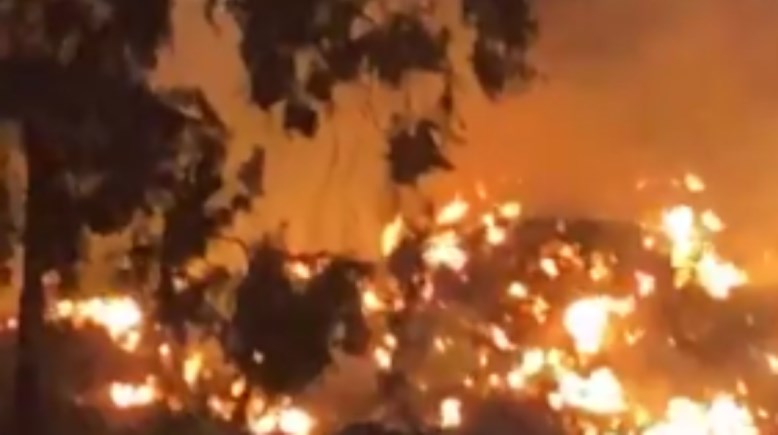 جانب من الحريق 